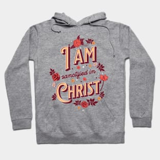 I am sanctified in Christ (1 Cor. 1:2). Hoodie